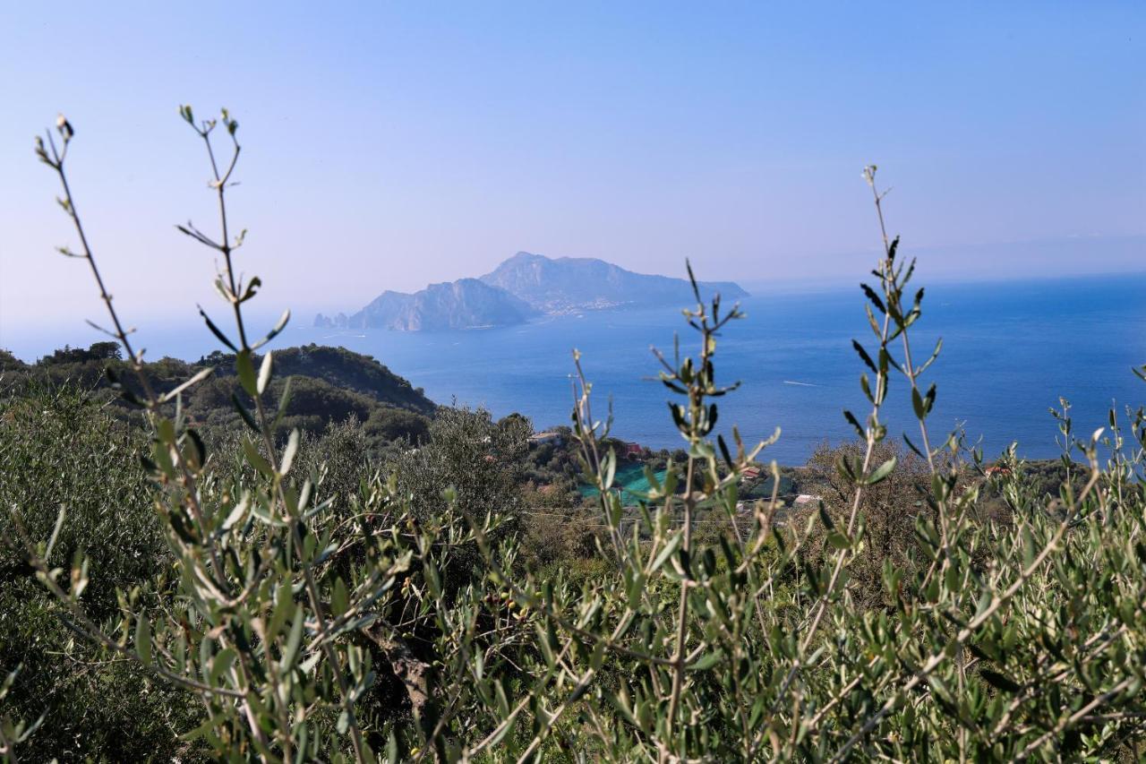 Villa Italia Sorrento Termini Экстерьер фото